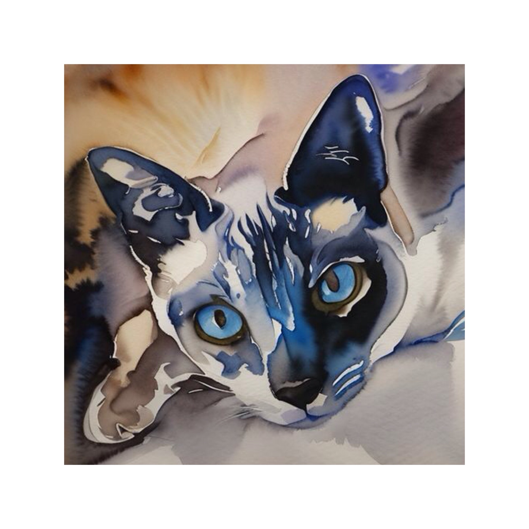 Photo de chat siamois blue point